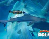 Castelnuovo del Garda