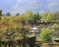 Meran