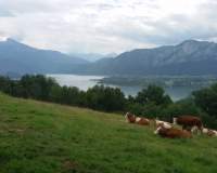 Mondsee