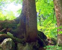 Unterach am Attersee