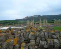 Tarifa