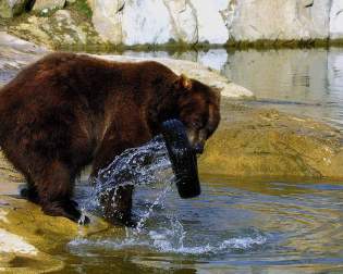 Heimat-Tierpark Olderdissen