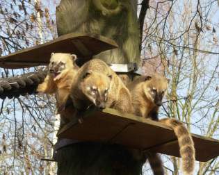 Tierpark Bischofswerda