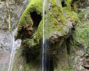 Wutach Canyon