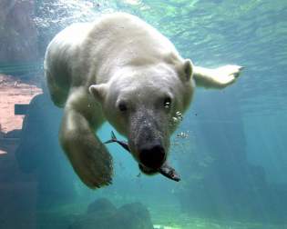 Zoo am Meer Bremerhaven