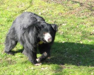 Tierpark Chemnitz