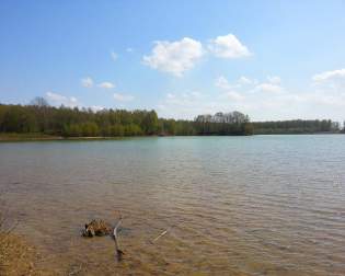 Dammer Bergsee