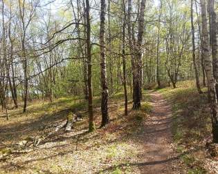 Nature Trail - Dammer mountain lake