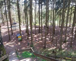 Forest Playground Dammer Mountain Lake