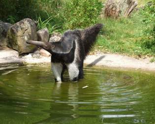 Dortmund Zoo