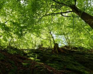 Drachenschlucht