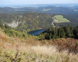 Feldsee