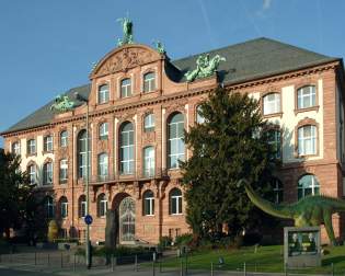 Senckenberg Naturmuseum