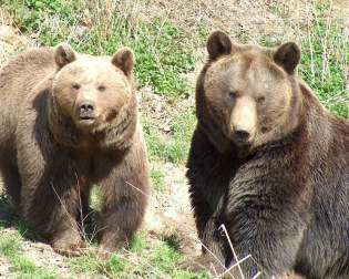 Wild- und Freizeitpark Westerwald