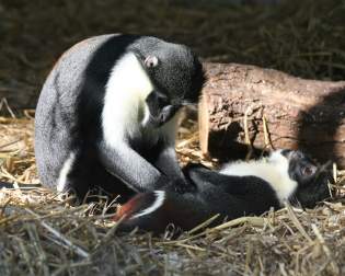 Tierpark Gettorf