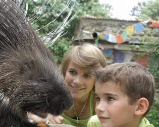 Naturschutz-Tierpark Görlitz