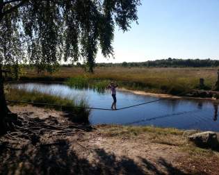 Swamp of Goldenstedt (NIZ)