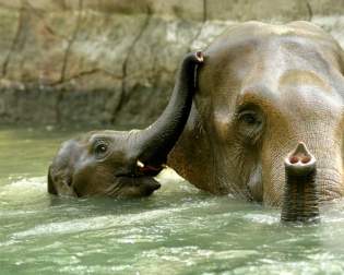 Hagenbeck Zoo