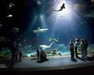 Tropen-Aquarium Hagenbeck