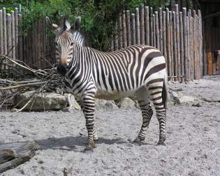 Zoo Landau in der Pfalz