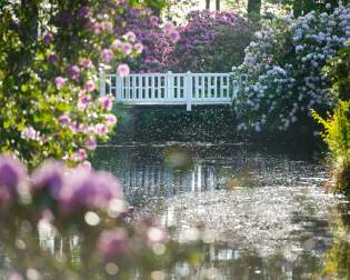 Schlosspark Lütetsburg