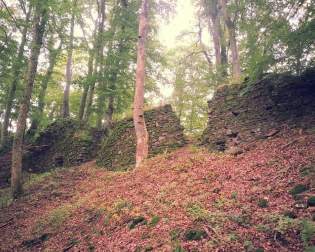 Ruins of New Castle Padberg