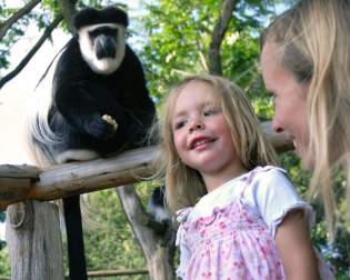 Allwetterzoo Münster