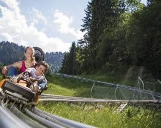 Alpine Coaster Kolbensattel