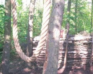 Forest adventure park in the Bergholz