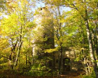 Castle Ruin Schauenforst