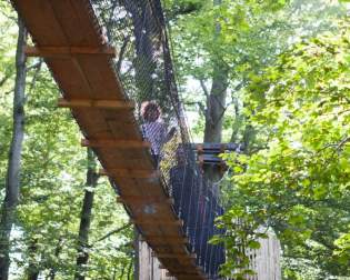 Treetop Walk Hoherodskopf