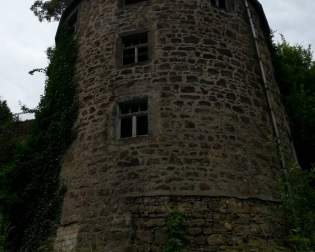 Wehlen Castle Ruins