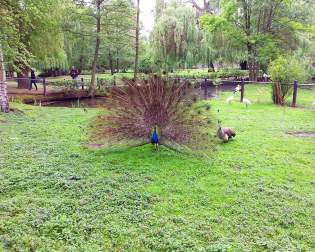 Tierpark Ströhen