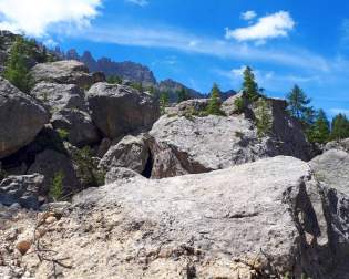 Labyrinthsteig am Latemar