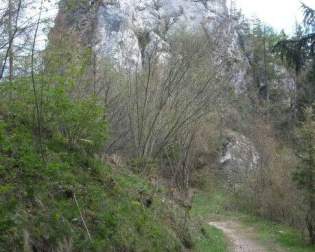 Eppenstein Castle Ruins