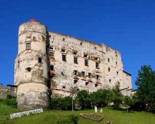 Burgruine Alte Burg Gmünd