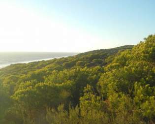 Nationalpark Coto de Doñana