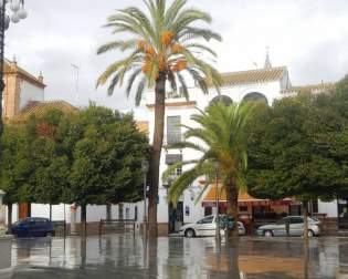 Plaza de San Fernando