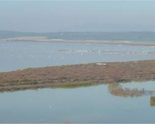 Fuente de Piedra Lagoon