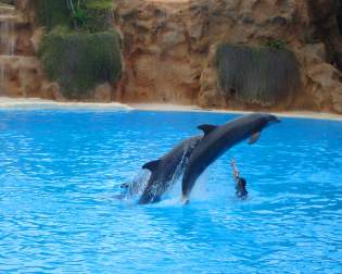 Loro Parque