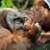 Tierpark Hagenbeck - © Lutz Schnier