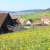 Thuringian Open Air Museum Hohenfelden - © Thüringer Freilichtmuseum Hohenfelden