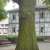 Schiller Oak - © doatrip.de