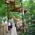 Treetop Walk Hoherodskopf - © H+D Kletterwald GmbH & Co. KG