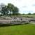 Birdoswald Roman Fort - © doatrip.de