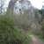 Eppenstein Castle Ruins - © Tim Heykamp