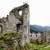 Ehrenberg Castle Ruins - © Wolfgang Defort