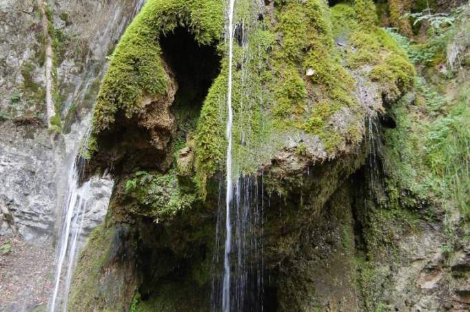 Wutach Canyon - © Lars Weichert