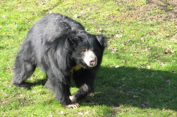 Animal Park Chemnitz - © Tierpark Chemnitz