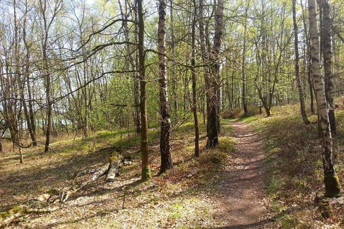 Nature Trail - Dammer mountain lake - © doatrip.de